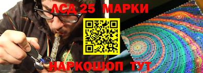 гидропоника Канаш