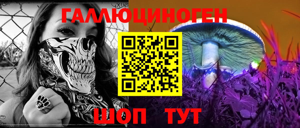 Псилоцибиновые грибы прущие грибы  Вход с VPN  Галлюциногенные грибы GOLDEN TEACHER  Донецк 