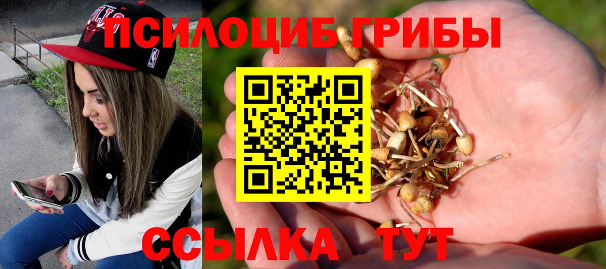 Галлюциногенные грибы Psilocybine cubensis Донецк
